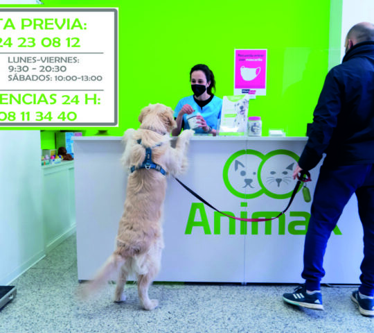 ANIMAX Veterinary Clinic