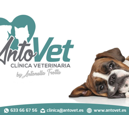 ANTOVET Clínica Veterinaria