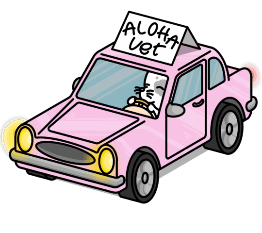 Aloha Vet Aloha Vet