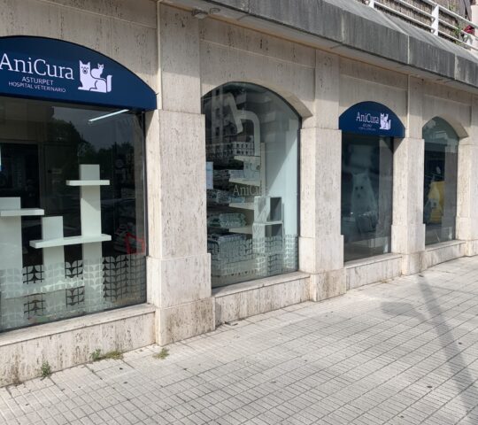 AniCura Asturpet Hospital Veterinario