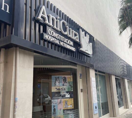 AniCura Constitución Hospital Veterinario AniCura Constitución Hospital Veterinario