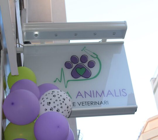 Ànima Animalis centre veterinari