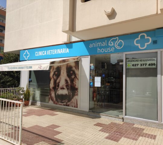 Animal House Veterinary Clinic