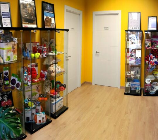 Animaletos – Centro de Etología Veterinaria Animaletos – Centro de Etología Veterinaria