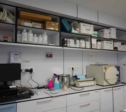 Avinguda Veterinaris