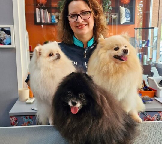 Bella Can Dog Groomer