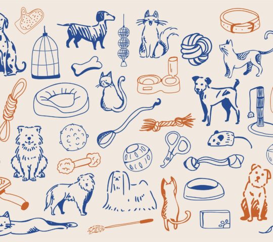 Bestioles Centre Veterinari