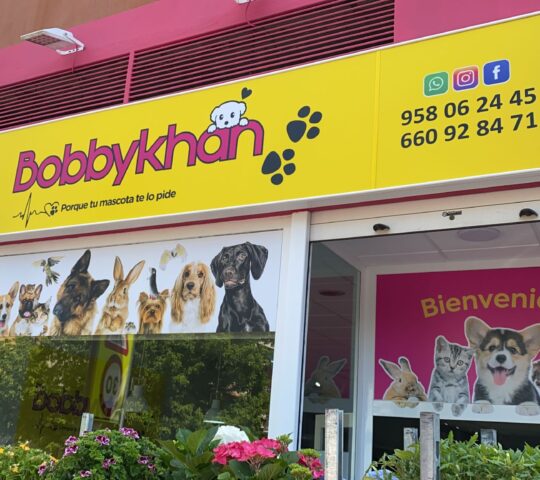 Bobbykhan mascotas