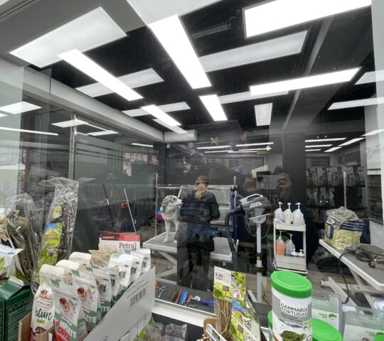 By Mascota Hospitalet – Veterinaria, Peluquería Mascotas & Tienda Mascotas