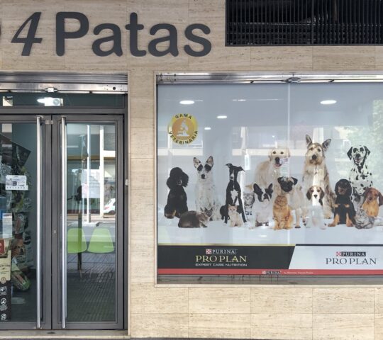 CENTRO VETERINARIO 4 PATAS C.B