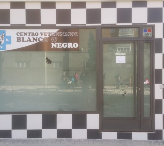 CLINICA VETERINARIA BLANCO Y NEGRO. Servicio veterinario a domicilio en Tetuan Madrid.