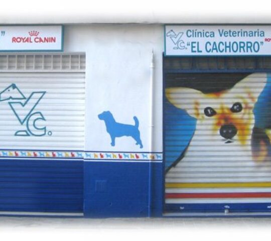 CLINICA VETERINARIA EL CACHORRO