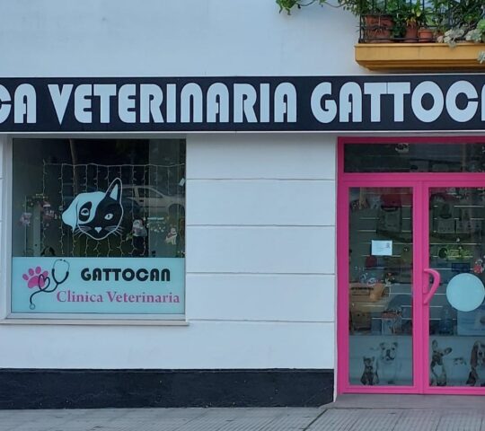 CLINICA VETERINARIA GATTOCAN