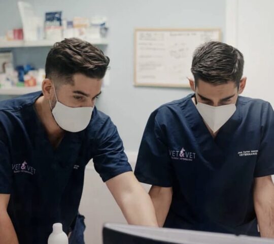 CLÍNICA VETERINARIA VET&VET SEVILLA ESTE