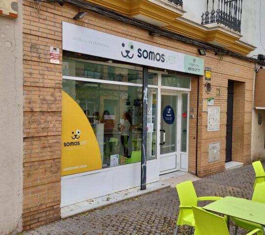 CV Afan de Ribera CV Afan de Ribera