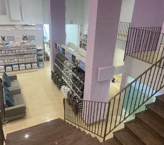 Canitas Veterinaria Alicante – General Marvá