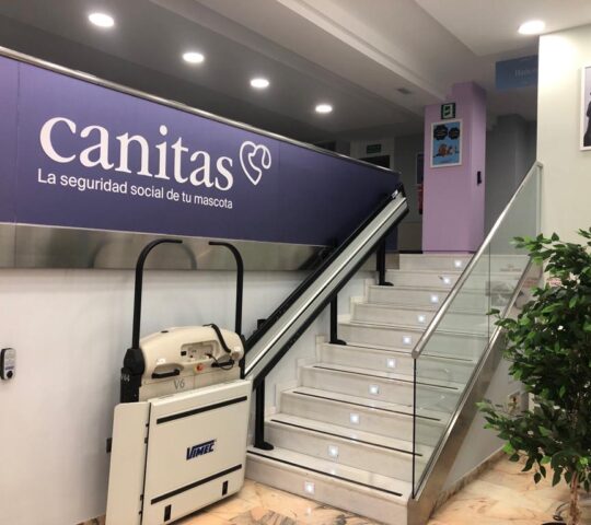 Canitas Veterinaria Córdoba Canitas Veterinaria Córdoba