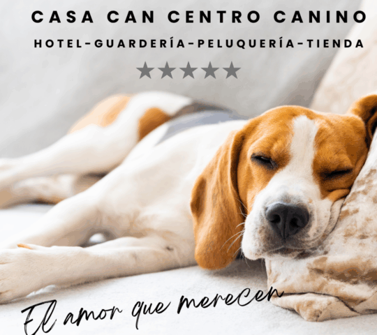 Casa Can Centro Canino