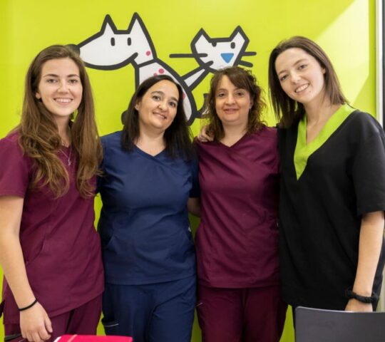 Centre Veterinari Sant Roc