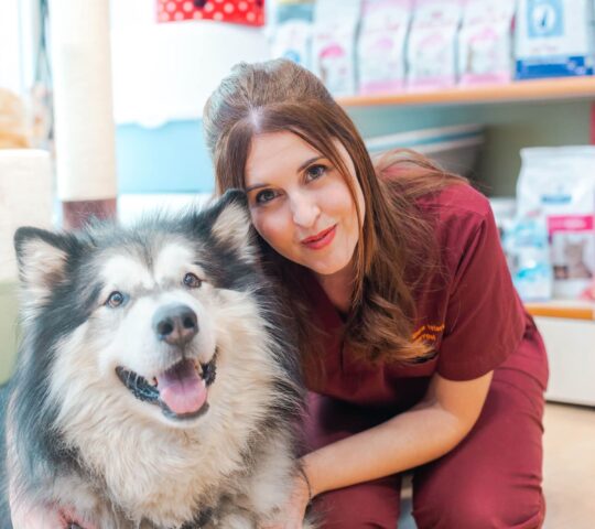 Centre Veterinari Villarroel