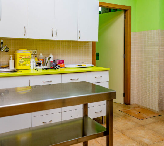 Centre Veterinari de la Plana