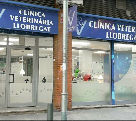 Centro Animal Can & Felis
