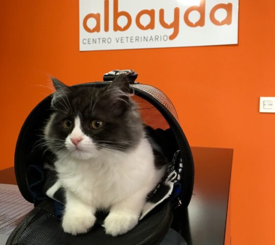 Centro Veterinario Albayda