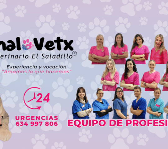 Centro Veterinario Animalex El Saladillo