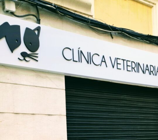 Centro Veterinario Aragón (Valencia) Centro Veterinario Aragón (Valencia)