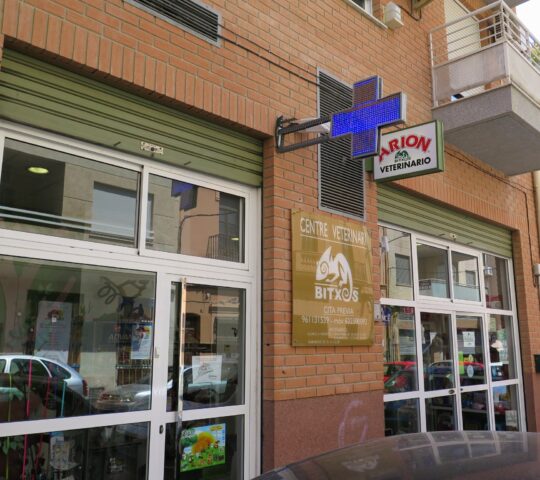 Centro Veterinario Bitxos