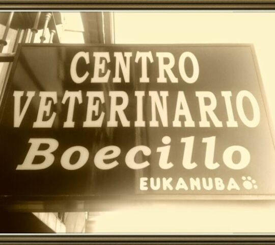 Centro Veterinario Boecillo