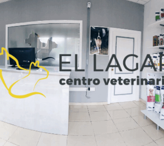 Centro Veterinario El Lagar