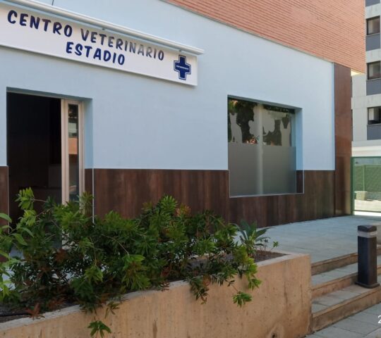 Centro Veterinario Estadio