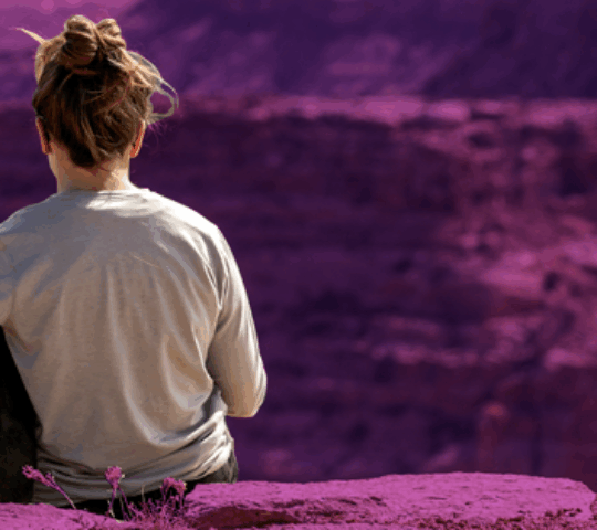 Centro Veterinario HGVET Eraso Centro Veterinario HGVET Eraso