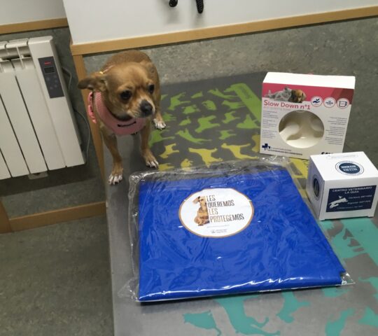 Centro Veterinario La Guia