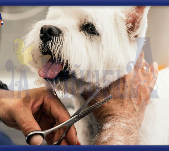 Centro Veterinario La Viñuela en Córdoba