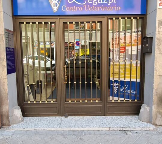 Centro Veterinario Legazpi