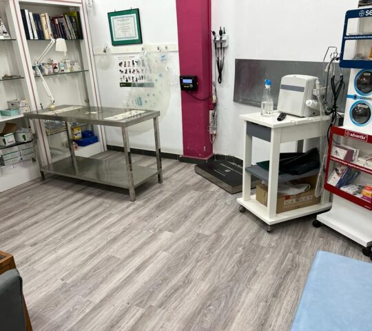 Centro Veterinario Los Ángeles-7Vidas .