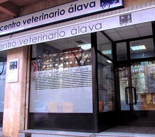 Centro Veterinario Mente Animal Centro Veterinario Mente Animal