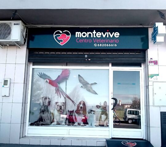 Centro Veterinario Montevive