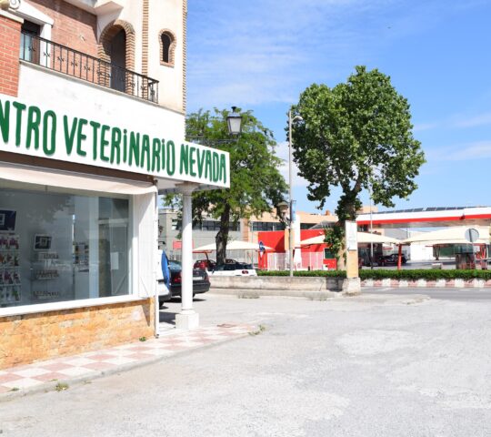 Centro Veterinario Nevada
