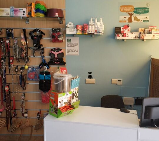 Centro Veterinario Ondina Centro Veterinario Ondina