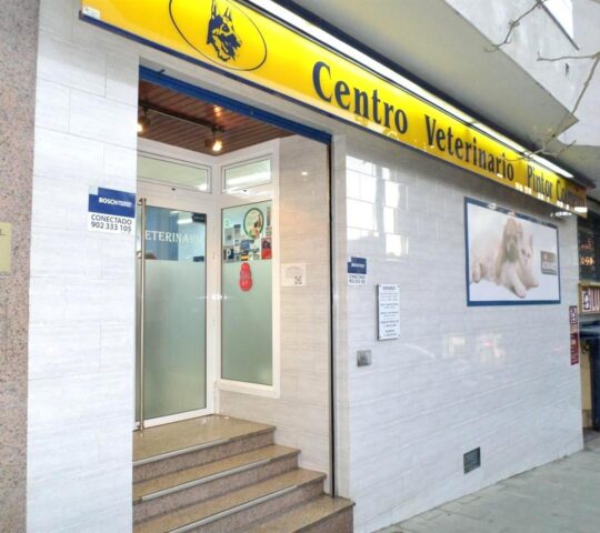 Centro Veterinario Pintor Colmeiro