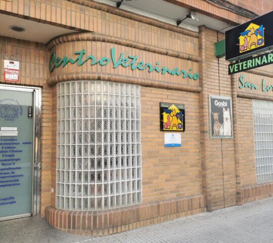 Centro Veterinario San Lorenzo