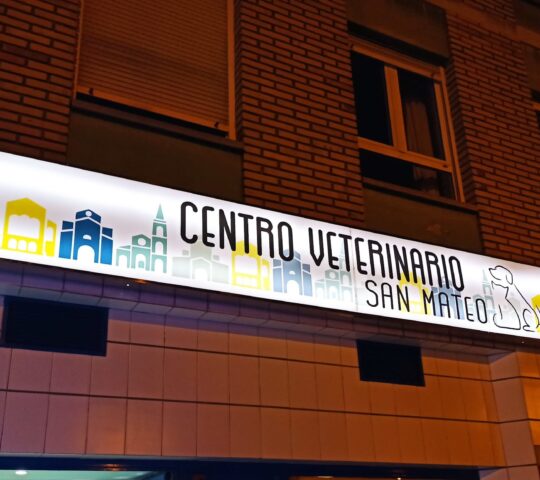 Centro Veterinario San Mateo – Veterinarios en Oviedo
