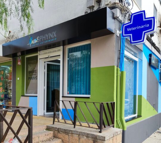 Centro Veterinario Sphynx