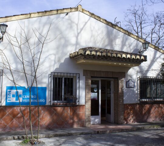 Centro Veterinario Sur