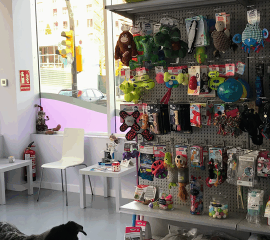 Centro Veterinario Vigil