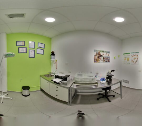 Centro Veterinario WECAN Que Fauna!