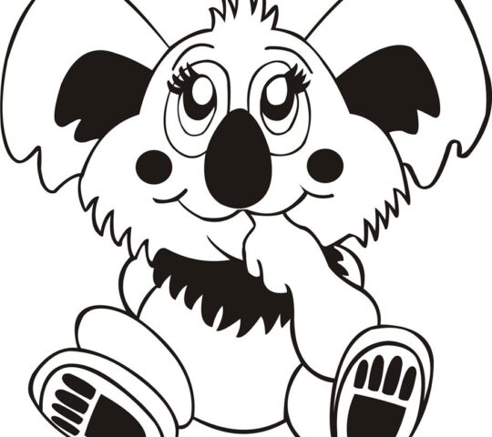 Centro Veterinario Zarpitas